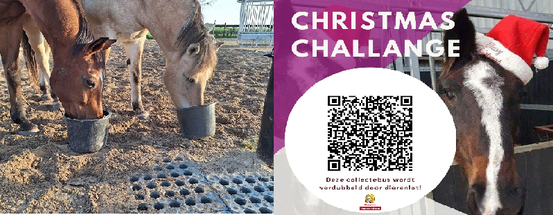 Doe mee met de Christmas Challenge