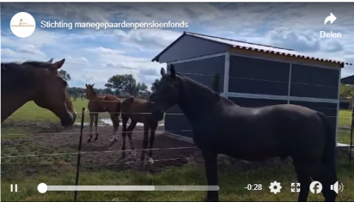black_buurtkinders