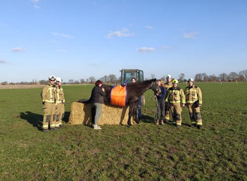 luna_brandweer